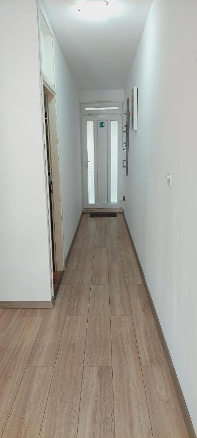 Apartman Anita Есенице Экстерьер фото